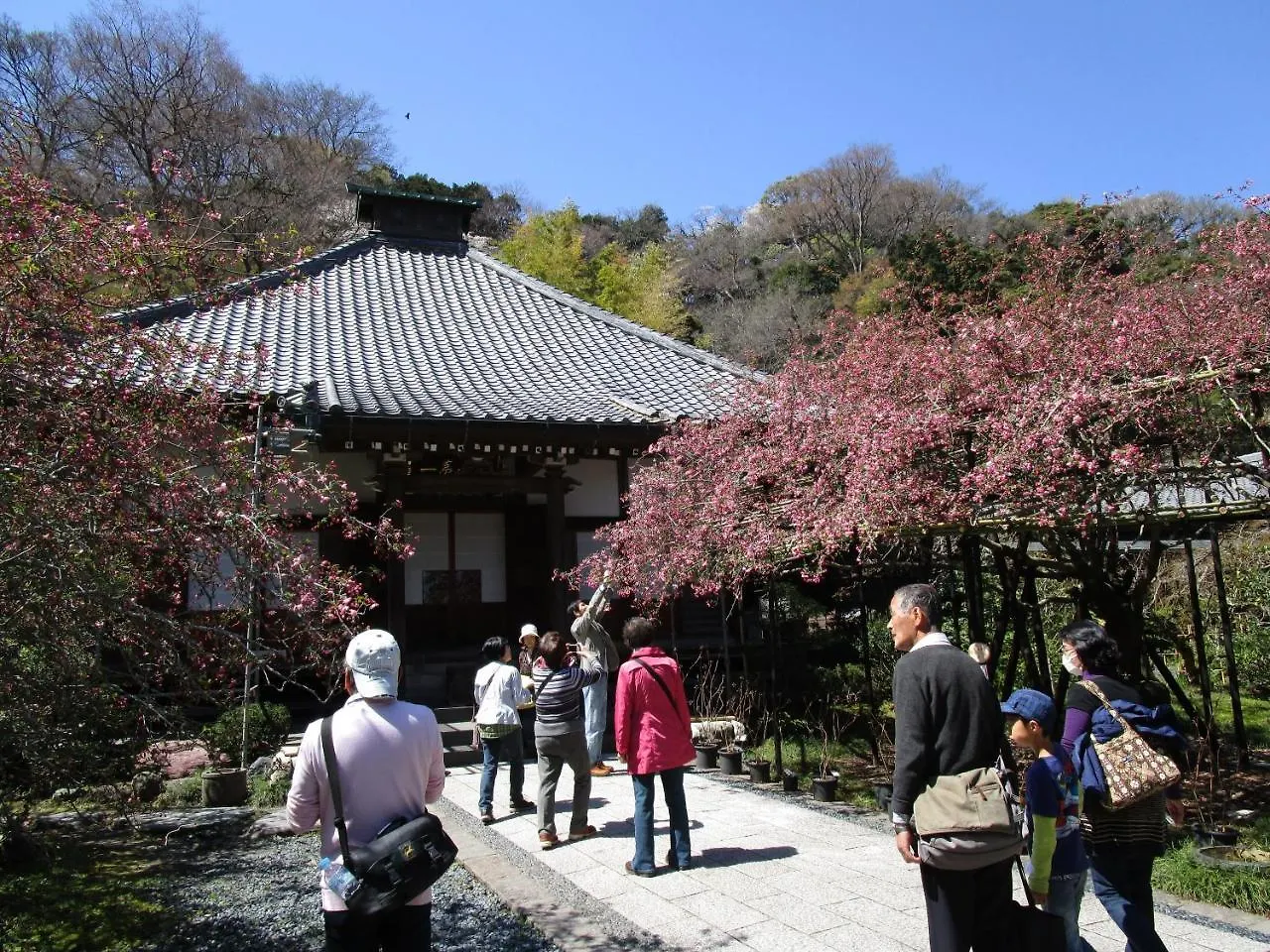Kamakura Central Guest House Japan